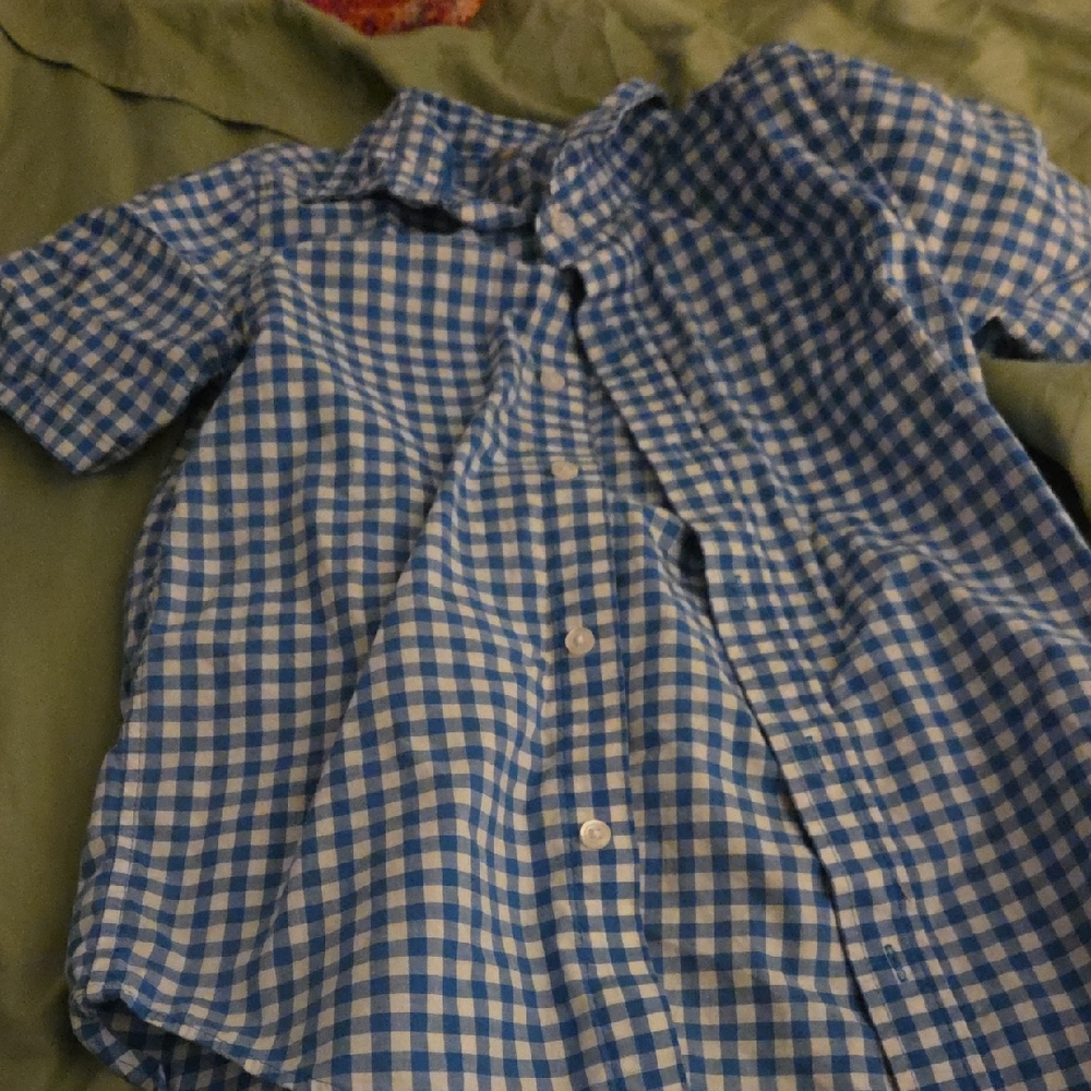 Cat & Jack Blue and White Checkered Button Down Shirt